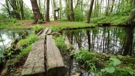 Prameny Ploučnice (2)